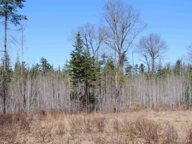 Make this undeveloped 5.65 wooded acres with 444' of water on Nahma Club in Michigan - for sale on GolfHomes.com, golf home, golf lot