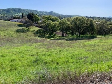 Let's get started with your dream home on this beautiful 1.4 on The Club at Copper Valley Golf Course in California - for sale on GolfHomes.com, golf home, golf lot