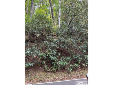 This Buildable wooded lot in Sapphire's Holly Forest features an on Sapphire National Golf Club in North Carolina - for sale on GolfHomes.com, golf home, golf lot