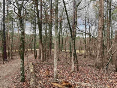 Great lot in the heart of Diamante Golf Course HSV!  Gentle on Diamante Golf and Country Club in Arkansas - for sale on GolfHomes.com, golf home, golf lot