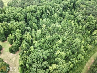 Build your dream home and live with your airplane with two on Pines Golf Course in Georgia - for sale on GolfHomes.com, golf home, golf lot