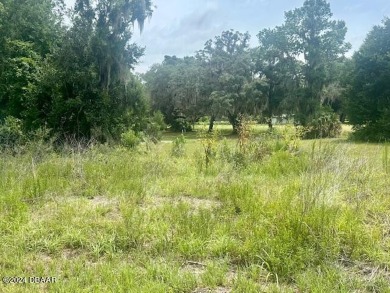 Here is a great opportunity for you to build your dream home in on The Oaks Golf Club in Florida - for sale on GolfHomes.com, golf home, golf lot