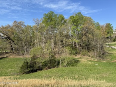 7.10 Acres

~235' of Lake Frontage

~1,500' Road Frontage

 on The Greens at Deerfield in Tennessee - for sale on GolfHomes.com, golf home, golf lot