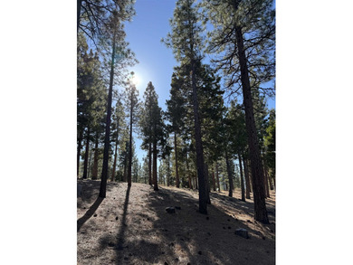 **Experience the Best of Nature and Luxury at Grizzly Ranch!** on Grizzly Ranch Golf Club in California - for sale on GolfHomes.com, golf home, golf lot