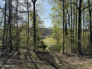 7.10 Acres

~235' of Lake Frontage

~1,500' Road Frontage

 on The Greens at Deerfield in Tennessee - for sale on GolfHomes.com, golf home, golf lot