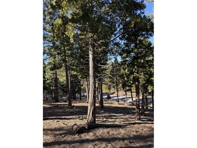 **Experience the Best of Nature and Luxury at Grizzly Ranch!** on Grizzly Ranch Golf Club in California - for sale on GolfHomes.com, golf home, golf lot