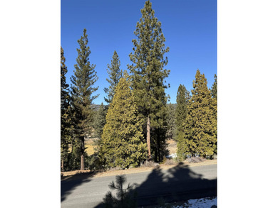 **Experience the Best of Nature and Luxury at Grizzly Ranch!** on Grizzly Ranch Golf Club in California - for sale on GolfHomes.com, golf home, golf lot