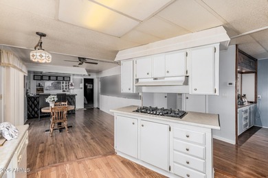 NEW PLUMBING THROUGHOUT- AC 3 YEARS OLD-GAS STOVE-OPEN SPACIOUS on Sun Lakes Country Club in Arizona - for sale on GolfHomes.com, golf home, golf lot