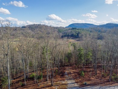 Discover the perfect canvas for your dream mountain home in on Old Edwards Club in North Carolina - for sale on GolfHomes.com, golf home, golf lot