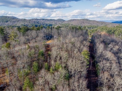 Discover the perfect canvas for your dream mountain home in on Old Edwards Club in North Carolina - for sale on GolfHomes.com, golf home, golf lot