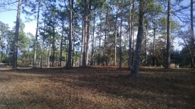 Huge .43/acre home site on one of the more desirable streets in on Tigers Eye Golf Links in North Carolina - for sale on GolfHomes.com, golf home, golf lot