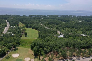 Presenting TWO contiguous lots (Lots 130  134) nestled within St on St. James Bay in Florida - for sale on GolfHomes.com, golf home, golf lot