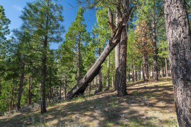 Discover the perfect setting for your dream home on this on Nakoma Golf Resort in California - for sale on GolfHomes.com, golf home, golf lot