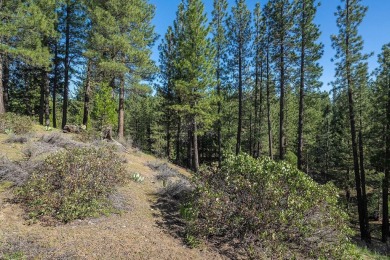 Discover the perfect setting for your dream home on this on Nakoma Golf Resort in California - for sale on GolfHomes.com, golf home, golf lot