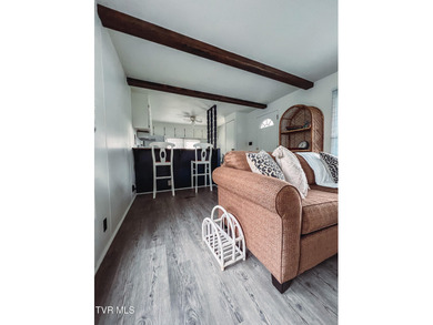 Welcome to 613 Painter Creek Rd (formerly 607 Painter Creek Rd)! on Country Club of Bristol in Tennessee - for sale on GolfHomes.com, golf home, golf lot