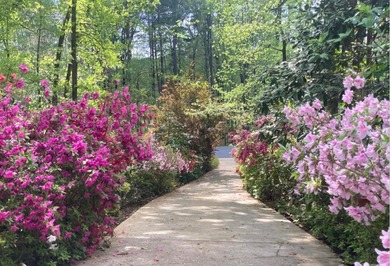 Don't miss your chance to secure an exceptional value in the on Reynolds Lake Oconee - The Oconee in Georgia - for sale on GolfHomes.com, golf home, golf lot