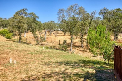This stunning single-level home boasts a spacious layout on The Club at Copper Valley Golf Course in California - for sale on GolfHomes.com, golf home, golf lot