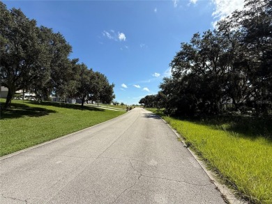 ?????? Build Your Dream Home in Black Bear Reserve - Eustis, FL

 on Black Bear Golf Club in Florida - for sale on GolfHomes.com, golf home, golf lot