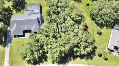 ?????? Build Your Dream Home in Black Bear Reserve - Eustis, FL

 on Black Bear Golf Club in Florida - for sale on GolfHomes.com, golf home, golf lot