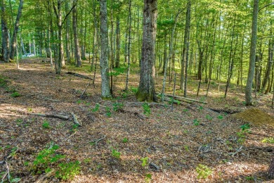 Tocami Lot 19: Breathtaking, nearly level homesite with on  in North Carolina - for sale on GolfHomes.com, golf home, golf lot