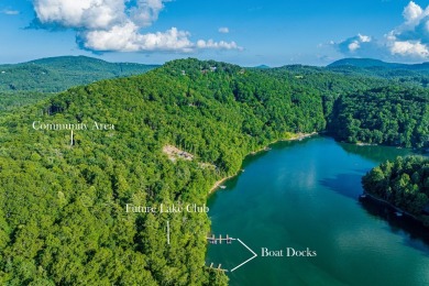 Tocami Lot 19: Breathtaking, nearly level homesite with on  in North Carolina - for sale on GolfHomes.com, golf home, golf lot