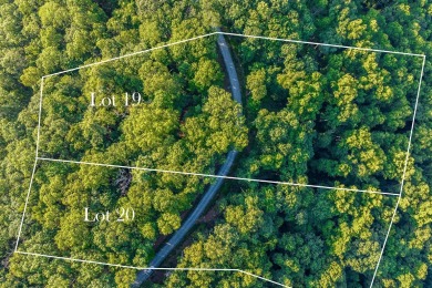 Tocami Lot 19: Breathtaking, nearly level homesite with on  in North Carolina - for sale on GolfHomes.com, golf home, golf lot