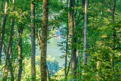 Tocami Lot 19: Breathtaking, nearly level homesite with on  in North Carolina - for sale on GolfHomes.com, golf home, golf lot