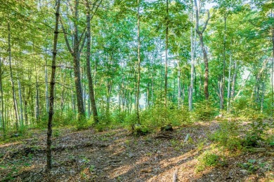 Tocami Lot 19: Breathtaking, nearly level homesite with on  in North Carolina - for sale on GolfHomes.com, golf home, golf lot