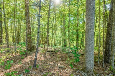 Tocami Lot 19: Breathtaking, nearly level homesite with on  in North Carolina - for sale on GolfHomes.com, golf home, golf lot