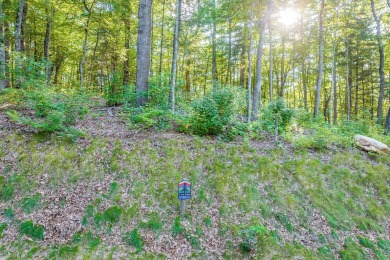 Tocami Lot 19: Breathtaking, nearly level homesite with on  in North Carolina - for sale on GolfHomes.com, golf home, golf lot