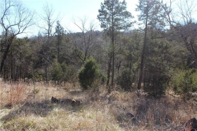 This exceptional, mostly cleared lot offers a level area perfect on Holiday Island Golf Course in Arkansas - for sale on GolfHomes.com, golf home, golf lot