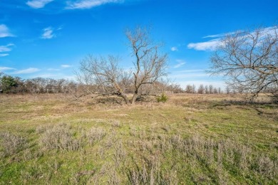 Don't miss this prime opportunity to own 7.95 acres of mostly on Tierra Verde Golf Club in Texas - for sale on GolfHomes.com, golf home, golf lot