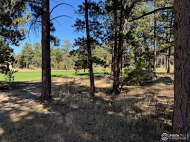 Premier Location for building your Golf Course Country Club Home on Fox Acres Country Club in Colorado - for sale on GolfHomes.com, golf home, golf lot