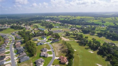 Welcome to the Gated Community of Juliette Falls.  The Stunning on Juliette Falls Golf and Spa Club in Florida - for sale on GolfHomes.com, golf home, golf lot