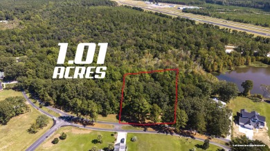 This spacious 1.01-acre partially cleared lot offers the perfect on Players Course At Wyboo Plantation in South Carolina - for sale on GolfHomes.com, golf home, golf lot