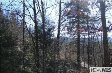 Want to move to the mountains? This lot is perfect for your new on Sapphire National Golf Club in North Carolina - for sale on GolfHomes.com, golf home, golf lot