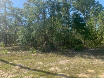 Check out this prime .69-acre residential lot in Citrus Springs on Citrus Springs Country Club in Florida - for sale on GolfHomes.com, golf home, golf lot