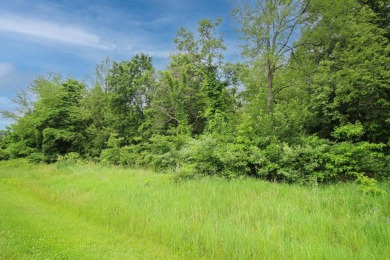 Build your dream home on this fantastic lot with breathtaking on Island Hills Golf Club in Michigan - for sale on GolfHomes.com, golf home, golf lot