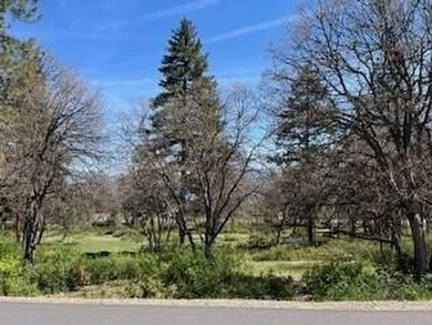 Check out this beautiful Running Y lot in the Lakeside on Running Y Ranch Resort in Oregon - for sale on GolfHomes.com, golf home, golf lot