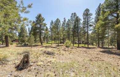 Exceptional home site nestled amongst mature ponderosa pines on on Pine Canyon Golf Course in Arizona - for sale on GolfHomes.com, golf home, golf lot