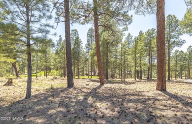 Exceptional home site nestled amongst mature ponderosa pines on on Pine Canyon Golf Course in Arizona - for sale on GolfHomes.com, golf home, golf lot