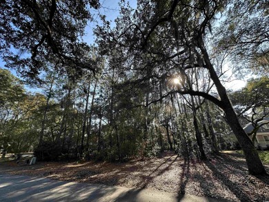 Lot 173 Sanderling Avenue offers a rare opportunity to build on DeBordieu Country Club in South Carolina - for sale on GolfHomes.com, golf home, golf lot