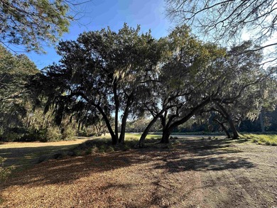 Lot 173 Sanderling Avenue offers a rare opportunity to build on DeBordieu Country Club in South Carolina - for sale on GolfHomes.com, golf home, golf lot