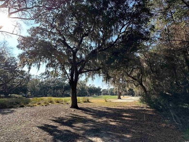 Lot 173 Sanderling Avenue offers a rare opportunity to build on DeBordieu Country Club in South Carolina - for sale on GolfHomes.com, golf home, golf lot