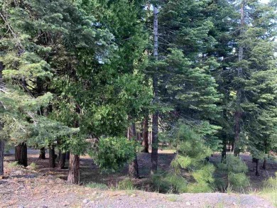 Great Lot in Lake Almanor West. Build your dream home of this 1 on Lake Almanor West Golf Course in California - for sale on GolfHomes.com, golf home, golf lot