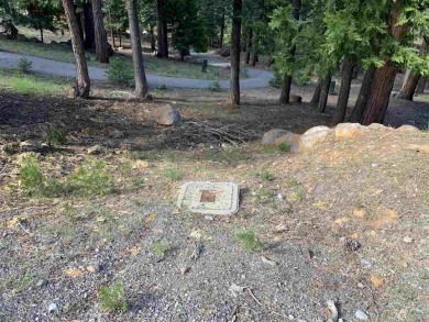 Great Lot in Lake Almanor West. Build your dream home of this 1 on Lake Almanor West Golf Course in California - for sale on GolfHomes.com, golf home, golf lot