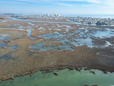 Welcome to 4504 Mallard Street, a beautifully maintained on Tidewater Golf Club and Plantation in South Carolina - for sale on GolfHomes.com, golf home, golf lot
