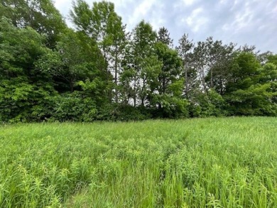 Great opportunity to own one of the last few lots that back on Greenwood Hills Country Club in Wisconsin - for sale on GolfHomes.com, golf home, golf lot