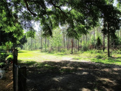 LOCATION LOCATION LOCATION!! GREAT VIEWS ALL AROUND. PRESERVE on Preserve Golf Club in Florida - for sale on GolfHomes.com, golf home, golf lot