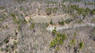 This beautiful wooded building site in one of Indian River's on Indian River Golf Club in Michigan - for sale on GolfHomes.com, golf home, golf lot